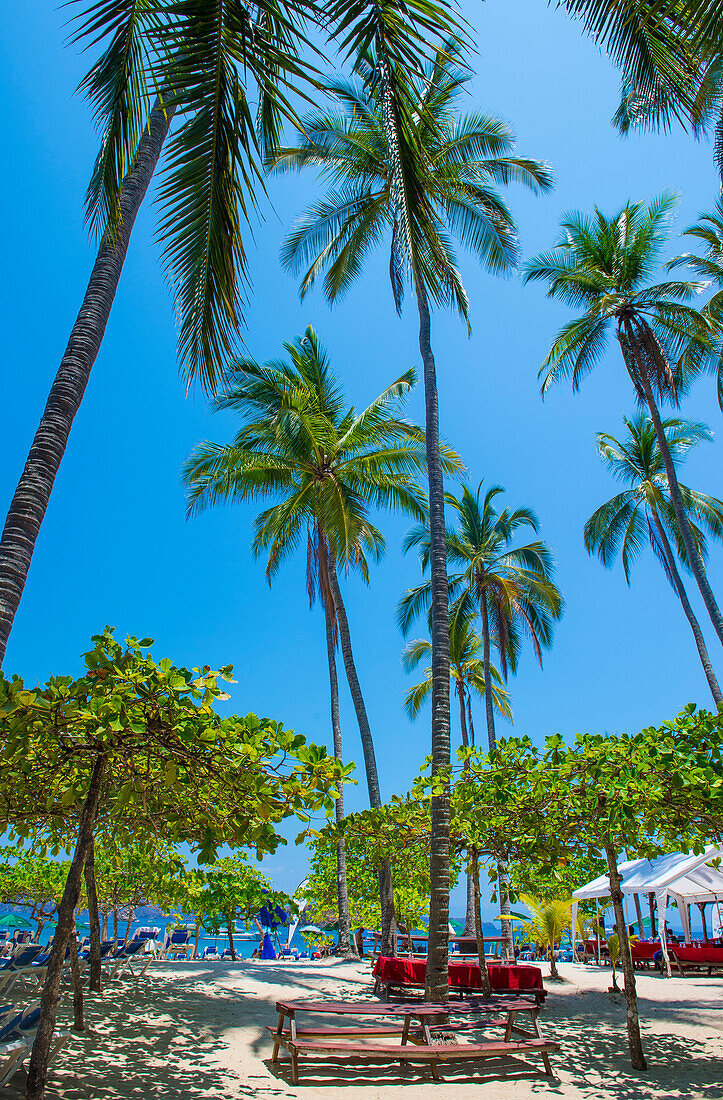 Tropischer Strand auf der Insel Tortuga in Costa Rica. Die Insel ist etwa 300 Hektar groß und besteht aus Wäldern und Stränden.