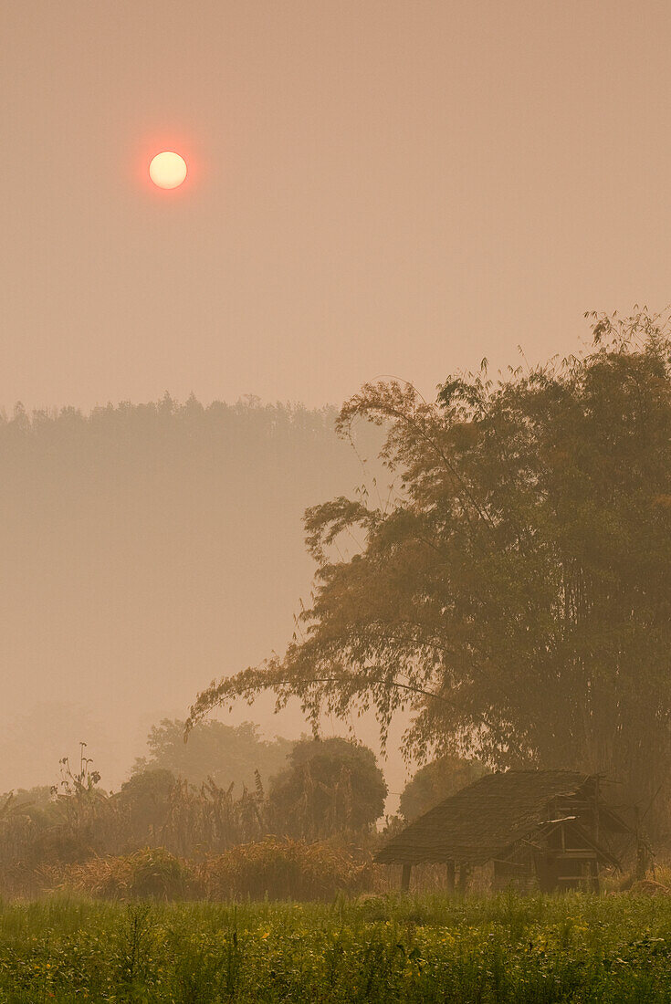 Frühmorgendlicher Dunst in der Nähe des Lisu-Dorfes Sridongyen in der ländlichen Provinz Chiang Mai, Thailand, der von landwirtschaftlichen Verbrennungen herrührt.