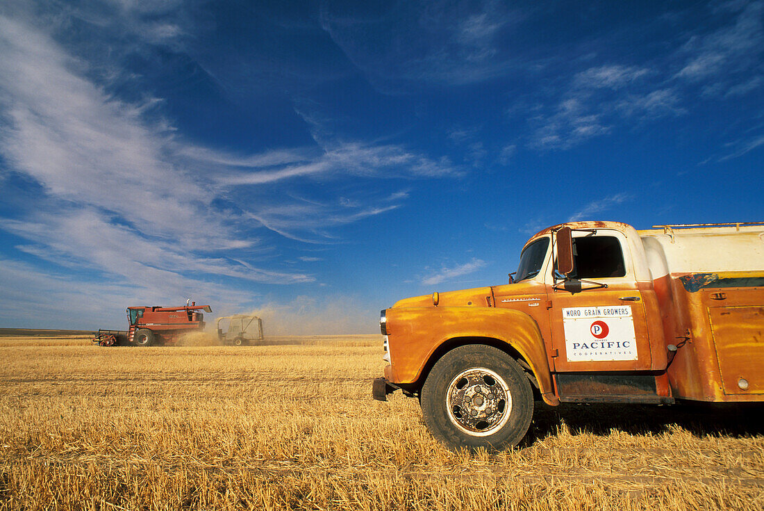 Weizenernte und alter Farmwagen, Farm der Familie Von Borstel, Bakeoven Road, Wasco County, Ost-Oregon.