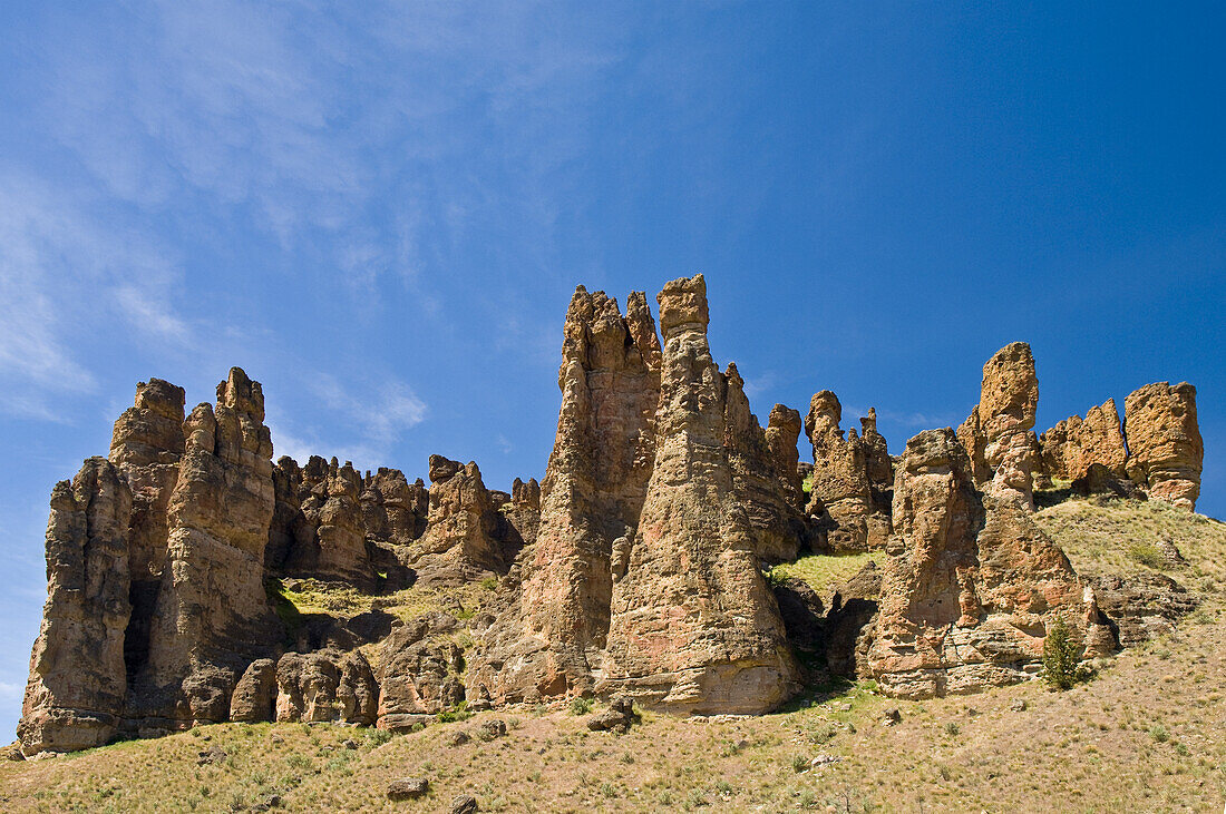 Felsformationen in der Clarno-Einheit des John Day Fossil Beds National Monument, Oregon.