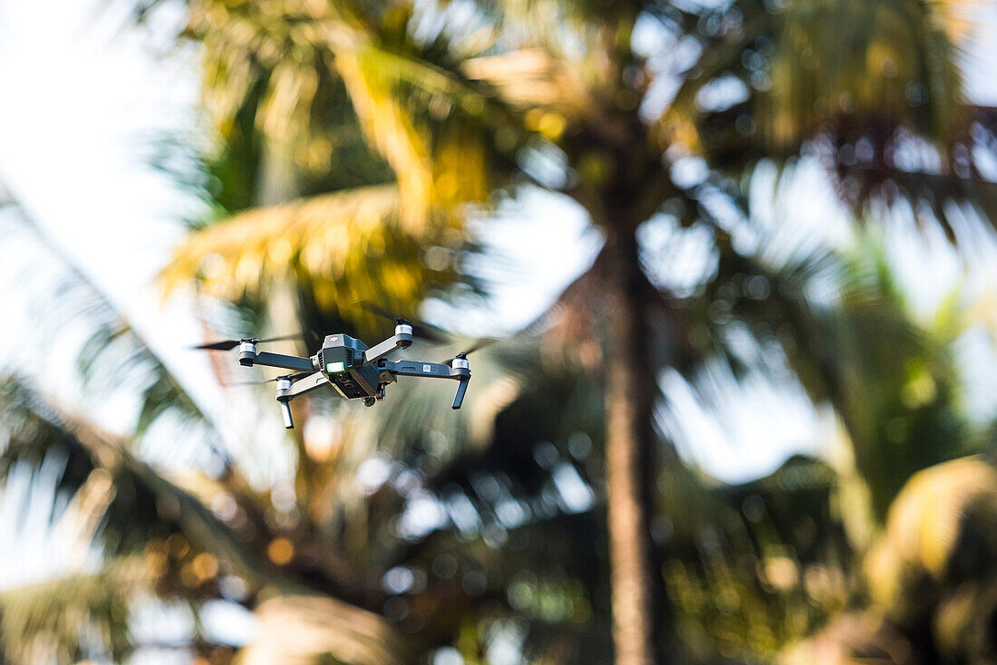 Flying an aerial drone for photography and videography on a tropical beach scene with palm trees
