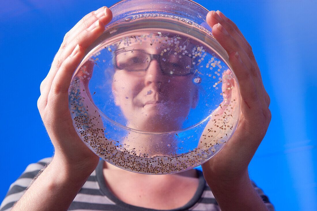 Frau bei der Forschung in einem Aquakulturlabor an der Delaware State University