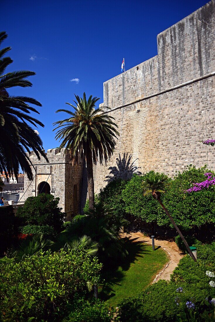 Garten vor den Mauern der Altstadt von Dubrovnik, Kroatien
