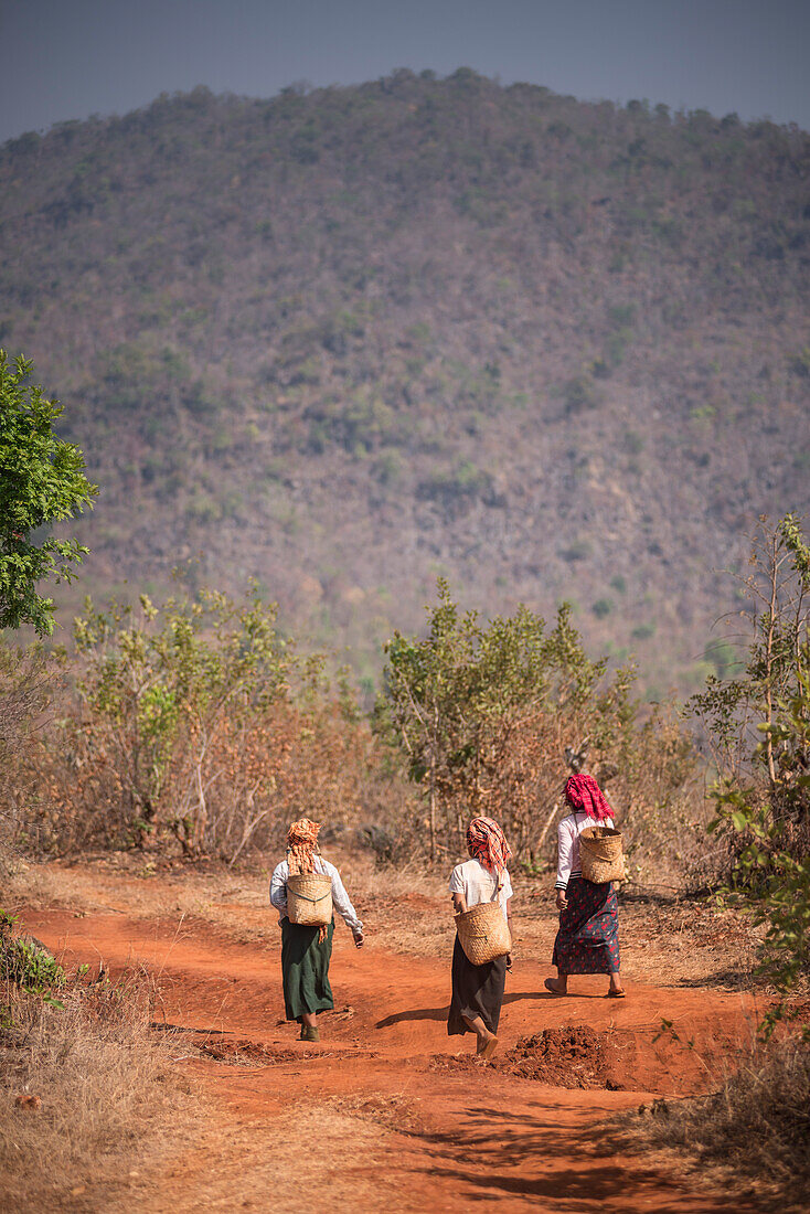 Pa-O-Bergvolk in der Landschaft zwischen dem Inle-See und Kalaw, Shan-Staat, Myanmar (Birma)