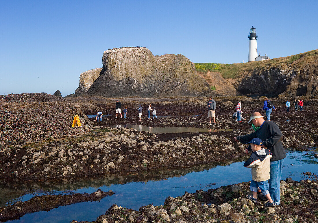 Menschen betrachten Gezeitentümpel in der Yaquina Head Outstanding Natural Area an der zentralen Küste von Oregon.