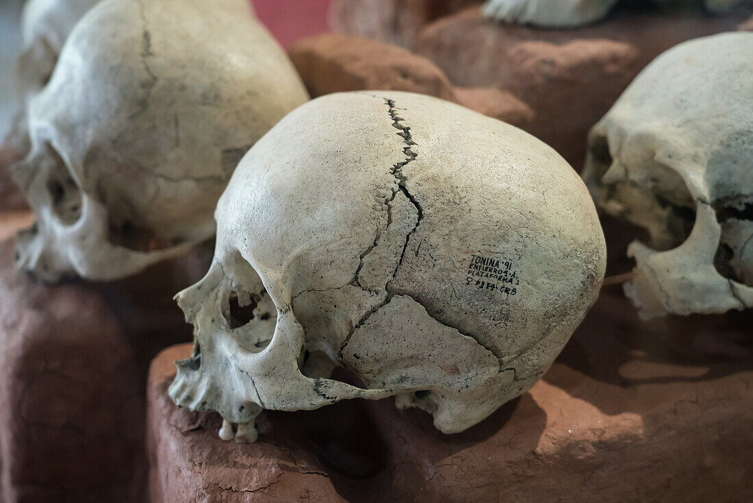 Schädel im Museum in den Ruinen der Maya-Stadt Tonina, in der Nähe von Ocosingo, Mexiko. Die Schädel wurden absichtlich deformiert, als die Menschen noch Babys waren, um diese charakteristische Form zu erhalten.