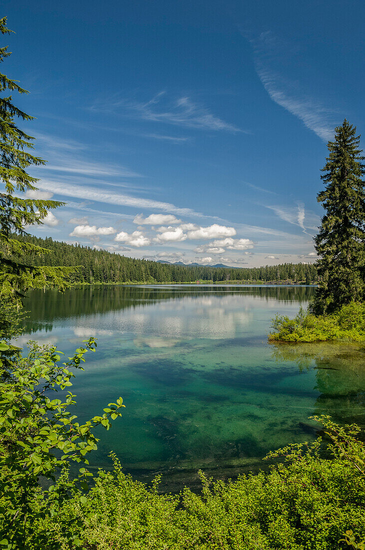 Clear Lake, Willamette National Forest, Kaskadengebirge, Oregon.