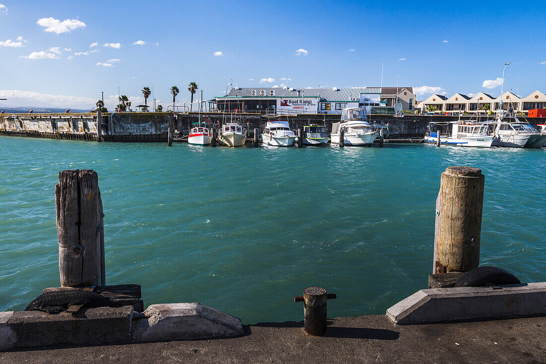 Sailing boats in Napier Harbour, Hawkes Bay Region, North Island, New Zealand