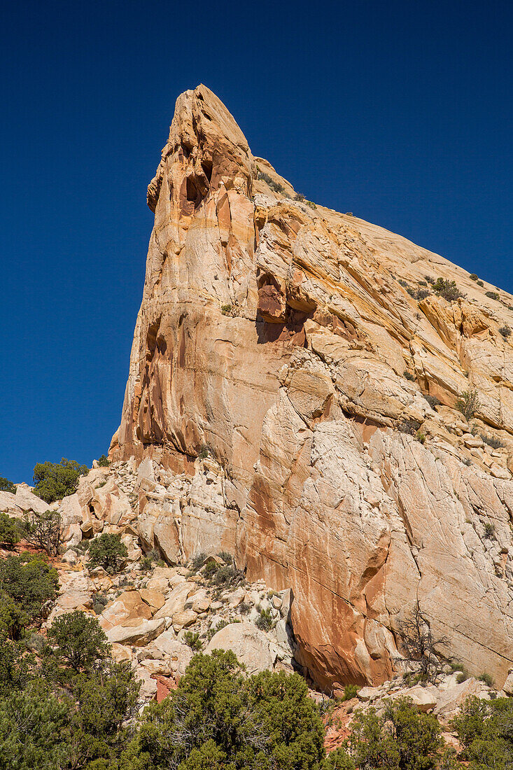 Eroded sandstone formations in Muley Twist Canyon in Capitol Reef National Park in Utah.