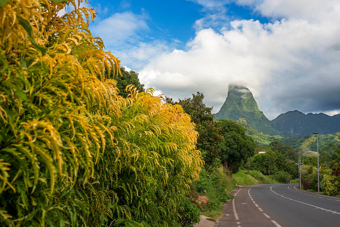 Road way in Cook's bay and Paopao valley in Moorea, French Polynesia, Society Islands, South Pacific. Cook's Bay.