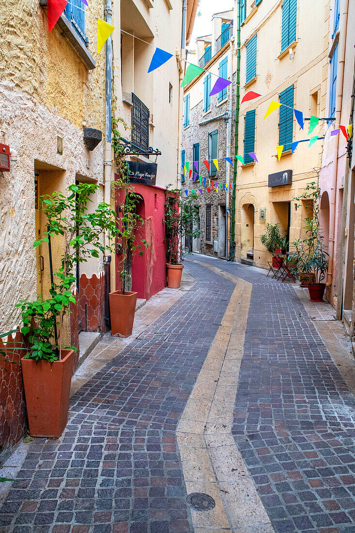 Street in the medieval town of Collioure in the south of France Languedoc-Roussillon Cote Vermeille Midi Pyrenees Occitanie Europe