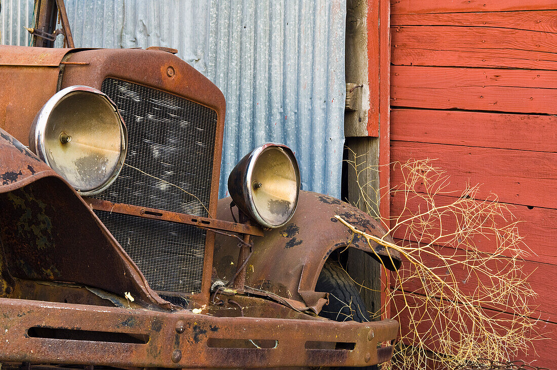 Verrosteter alter Lastwagen und Unkraut in der Geisterstadt Shaniko, Wasco County, Oregon.