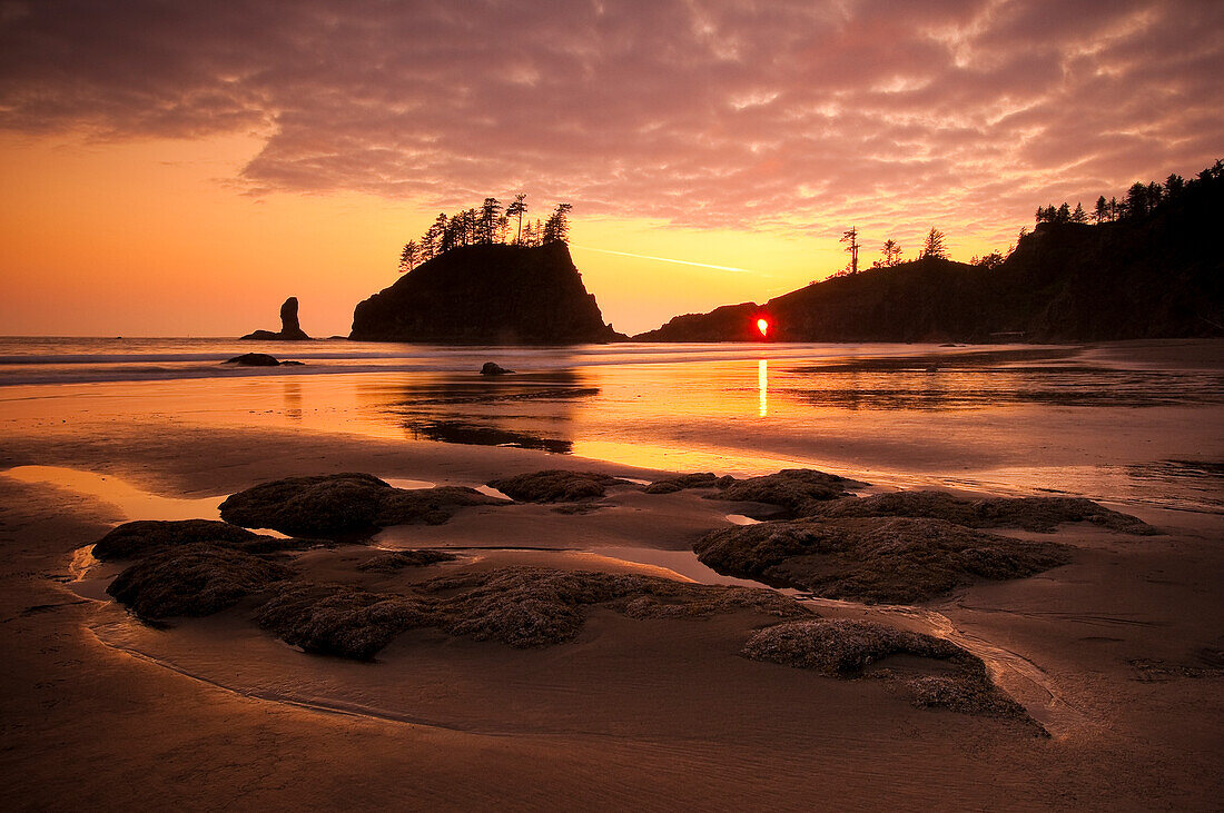 Second Beach bei Sonnenuntergang, Olympic National Park, Washington.
