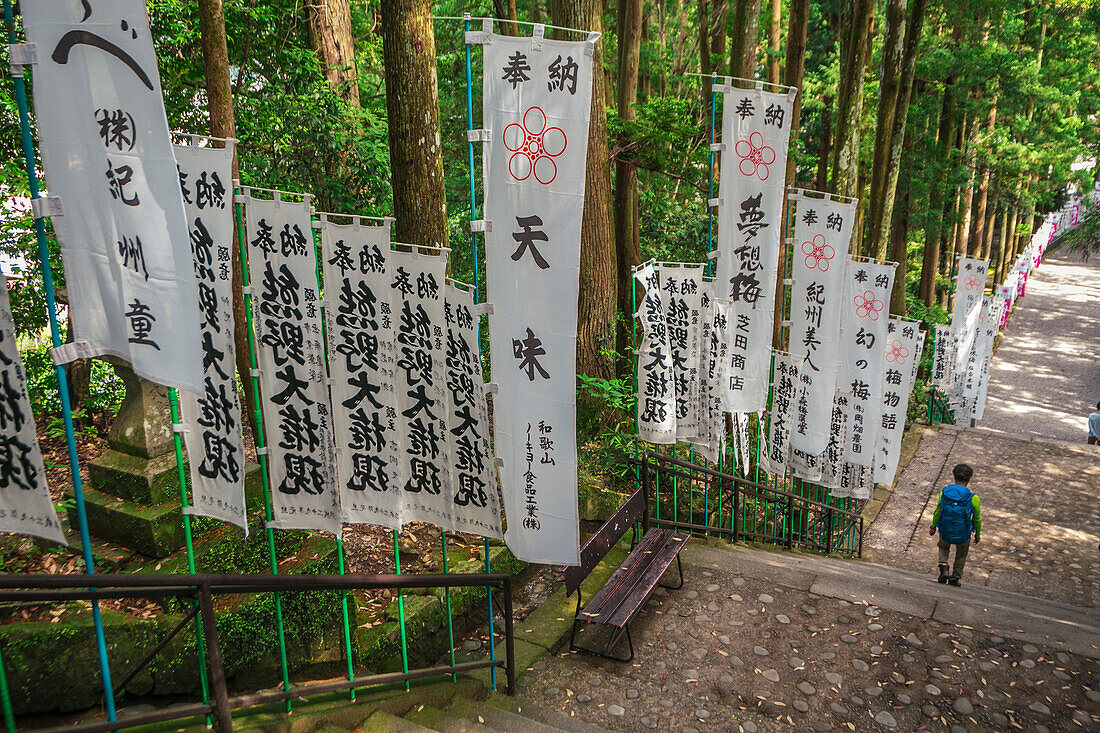 Kumano Hongu Taisha. Shinto shrine. Tanabe city. Wakayama Prefecture. Kii Peninsula. Kansai region. Honshü Island . Kumano Kodo pilgrimage route. UNESCO World Heritage Site. Japan