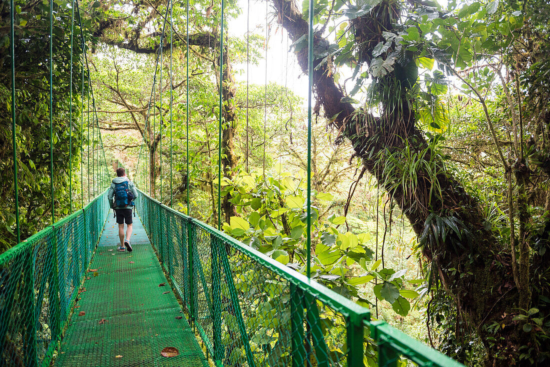Selvatura Baumkronen-Hängebrücken, Monteverde Cloud Forest Reserve, Puntarenas, Costa Rica, Mittelamerika