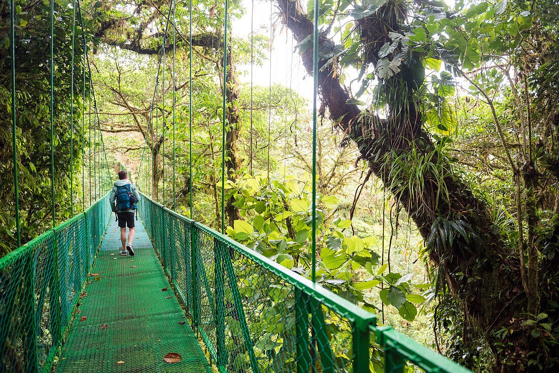 Selvatura Treetop hanging bridges, Monteverde Cloud Forest Reserve, Puntarenas, Costa Rica, Central America