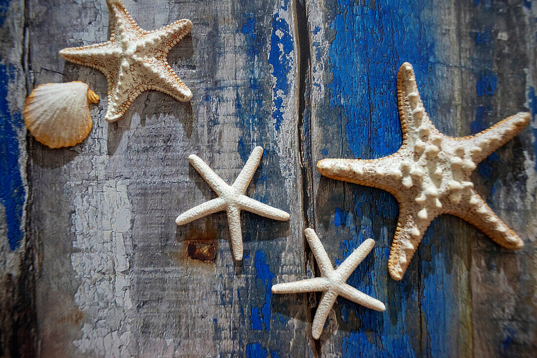 Fidschi Sterne Dekoration Souvenirs. Malolo Insel Mamanucas Inselgruppe Fidschi