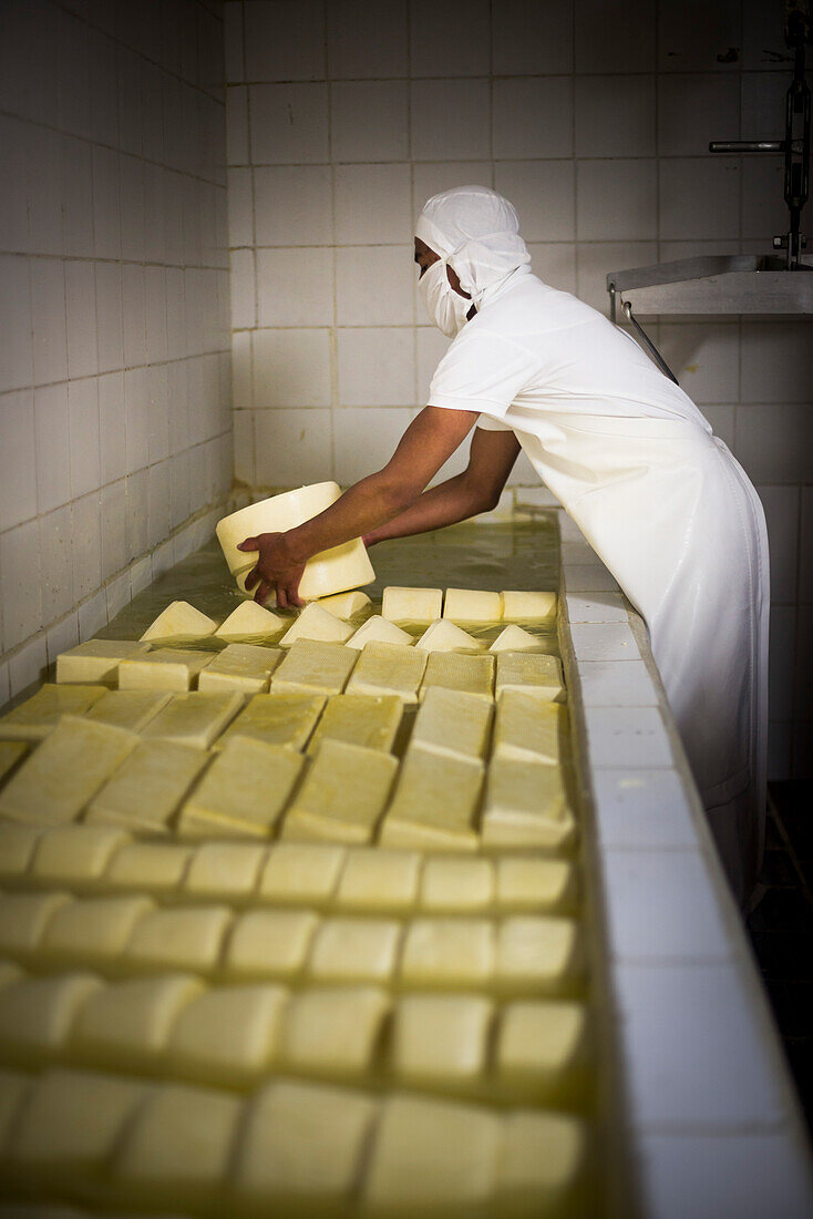 Cheese soaking in salt water at the Cheese Factory on the farm at Hacienda Zuleta, Imbabura, Ecuador, South America