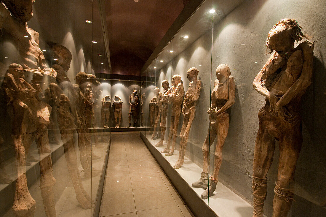 Ausgestellte Mumien im Museo De Las Momias (Mumienmuseum), Guanajuato, Mexiko.