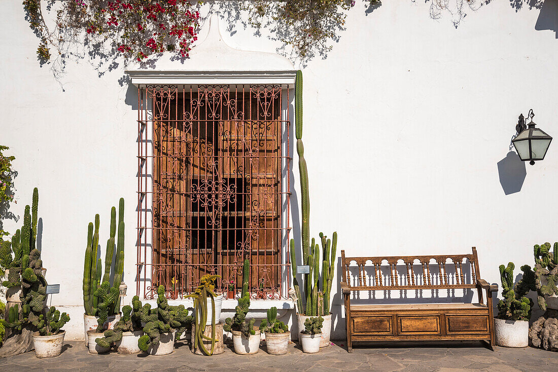 Cacti, Bougainvillea, wrought iron and woodwork in the patio at Museo Larco in Lima, Peru.