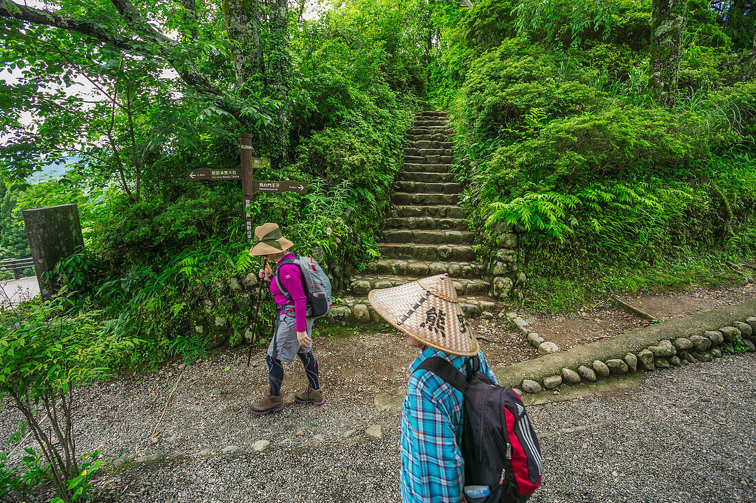 Kumano Kodo Pilgerweg. Spaziergang zum Fushiogami-oji. Nakahechi. Präfektur Wakayama. Halbinsel Kii. Kansai-Region. Honshü-Insel. UNESCO-Weltkulturerbe. Japan