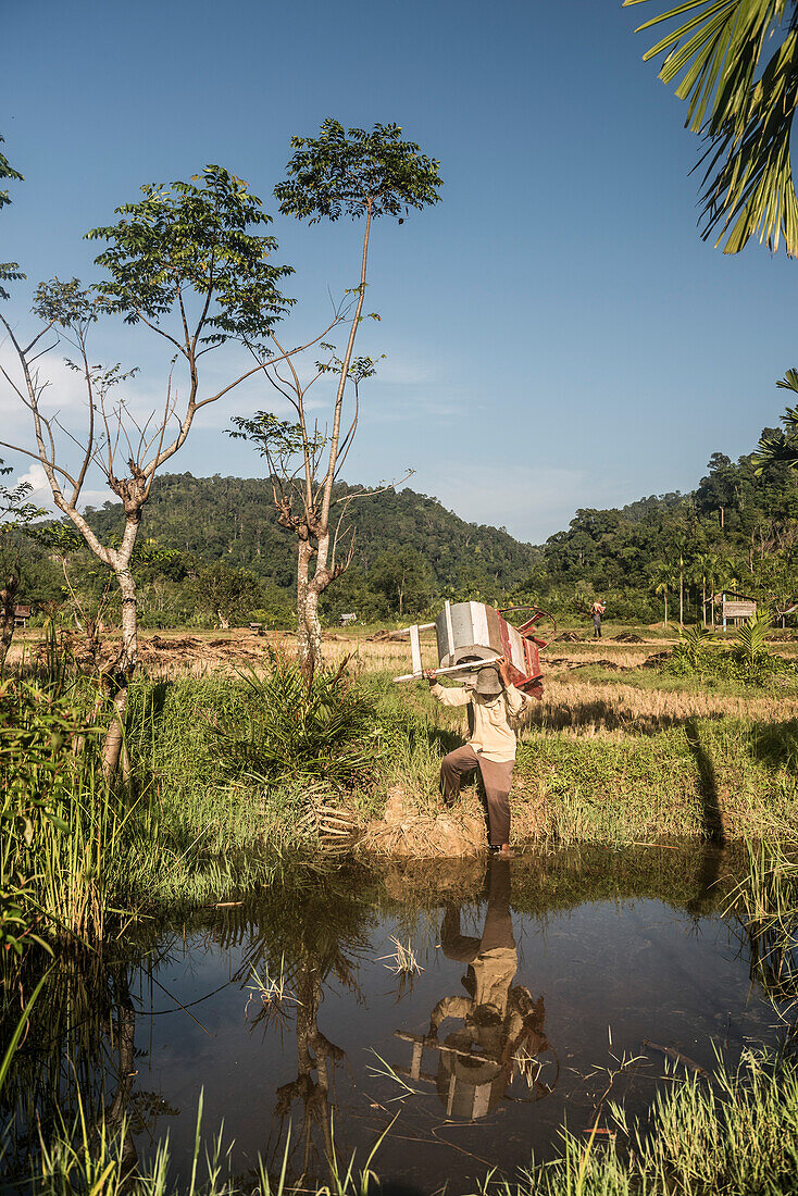 Man working in paddy fields (rice paddies) at Sungai Pinang, a traditional rural Indonesian village near Padang in West Sumatra, Indonesia