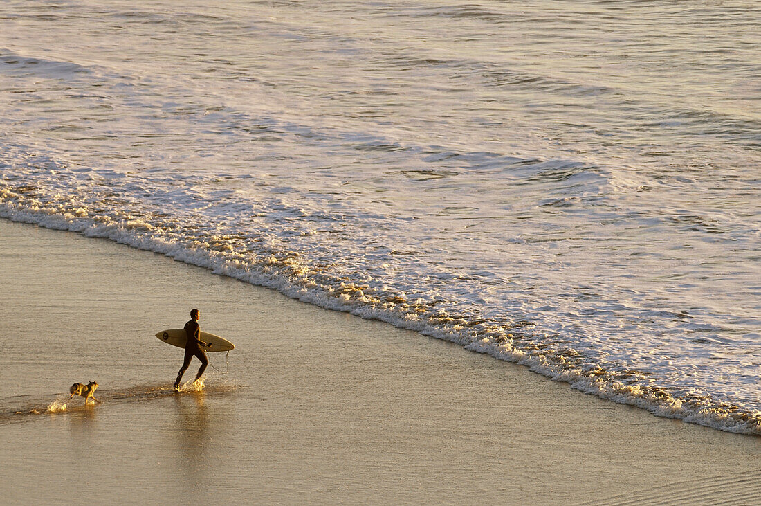 Surfer auf dem Weg zu den Wellen mit einem Hund, der ihm nachläuft; Indian Beach, Ecoloa State Park, Nordküste von Oregon.