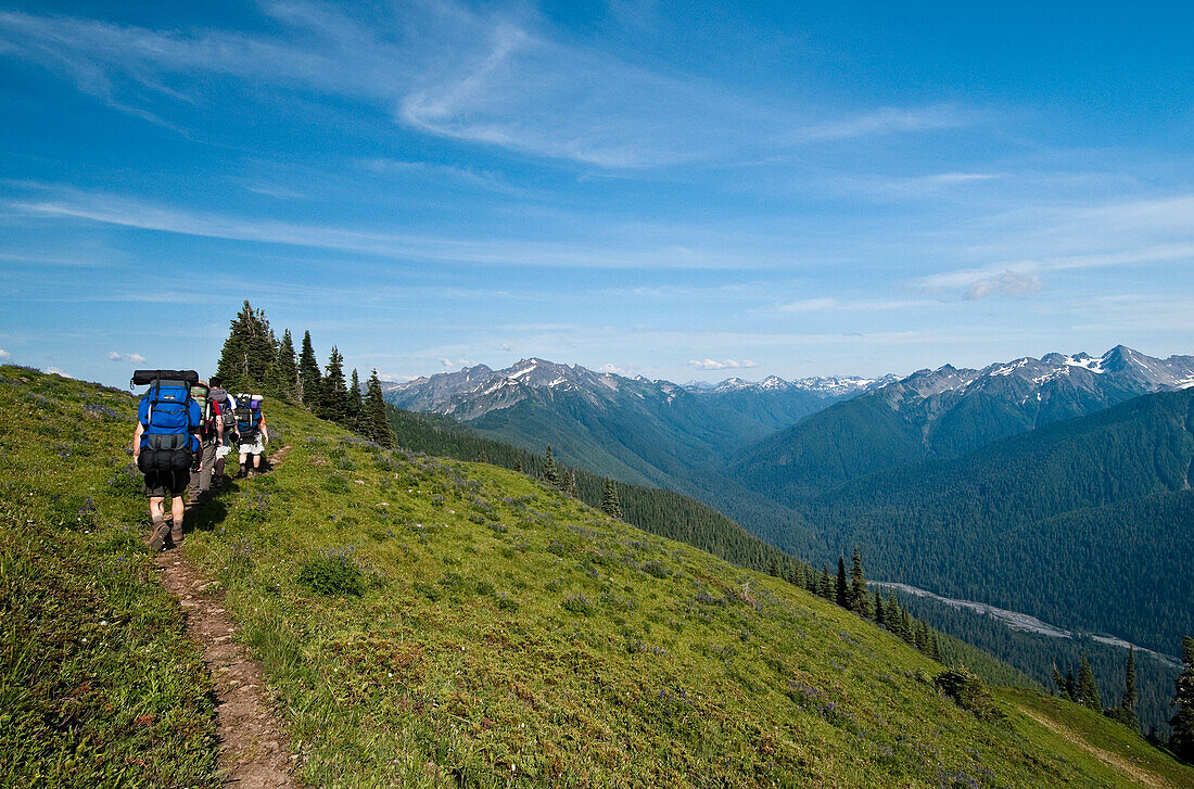 Backpackers on the High Divide Trail, with the Hoh River Valley and Bailey Range mountains on the right; Olympic National Park, Washington.