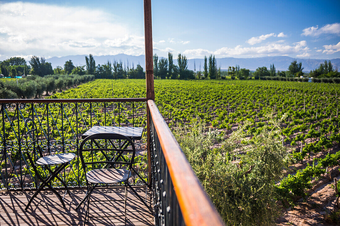 Balcony overlooking vineyards at Club Tapiz, a Bodega (winery) in the Maipu area of Mendoza, Mendoza Province, Argentina