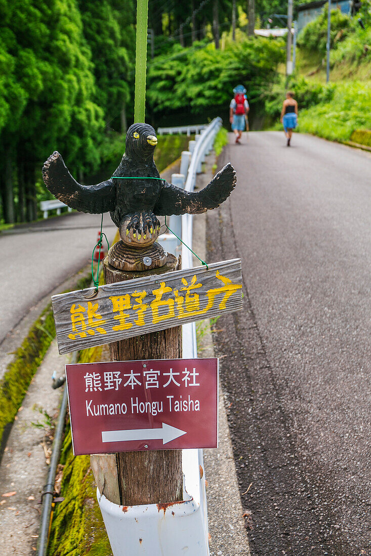 Kumano Kodo pilgrimage route. Way to Mizunomi-oji. Nakahechi. Wakayama Prefecture. Kii Peninsula. Kansai region. Honshü Island . UNESCO World Heritage Site. Japan