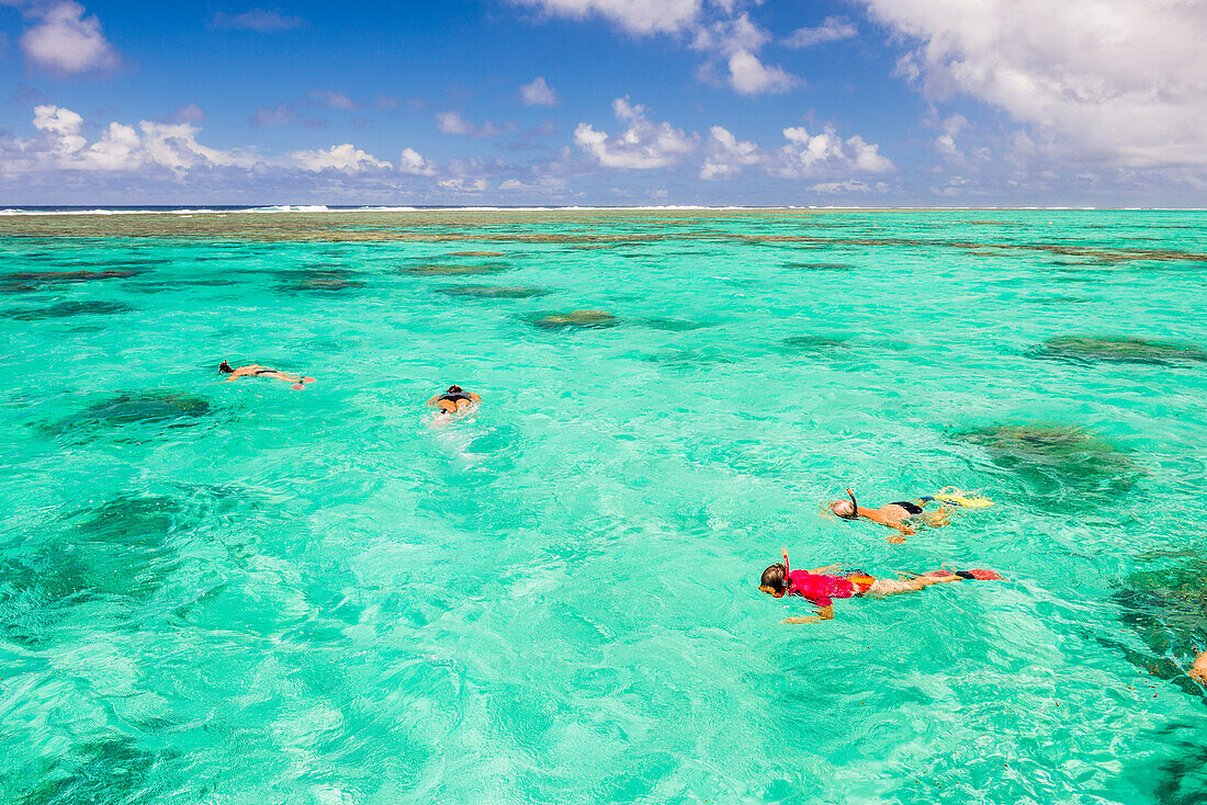 Familie im Sommerurlaub beim Schnorcheln im kristallklaren blauen Pazifik auf der tropischen Insel Rarotonga, Cookinseln, Hintergrund mit Kopiervorlage