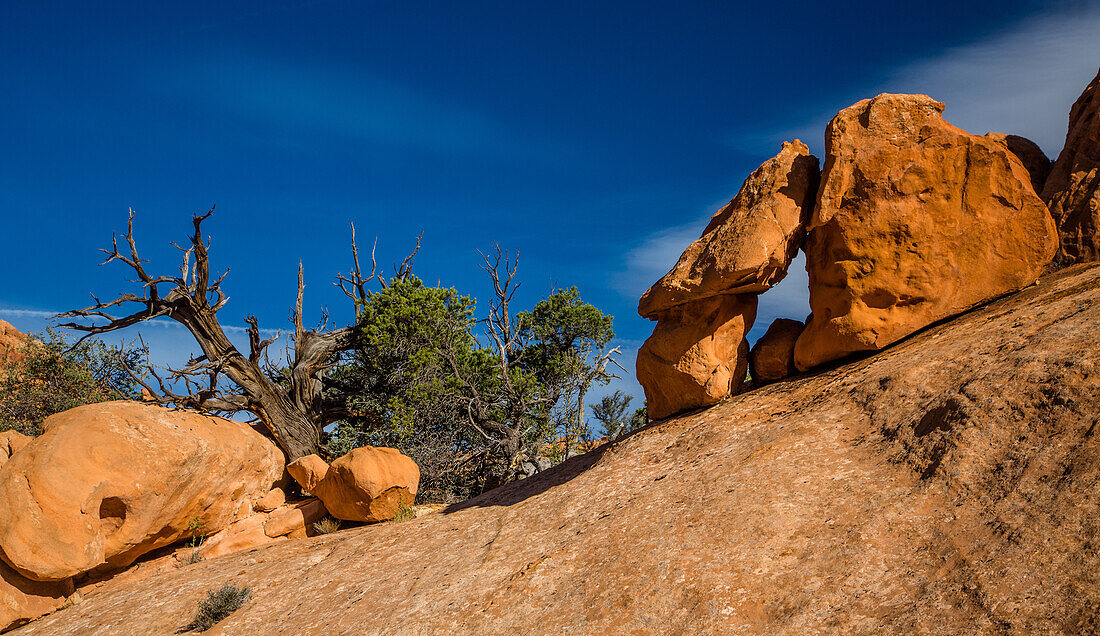 Eroded sandstone formations in Muley Twist Canyon in Capitol Reef National Park in Utah.