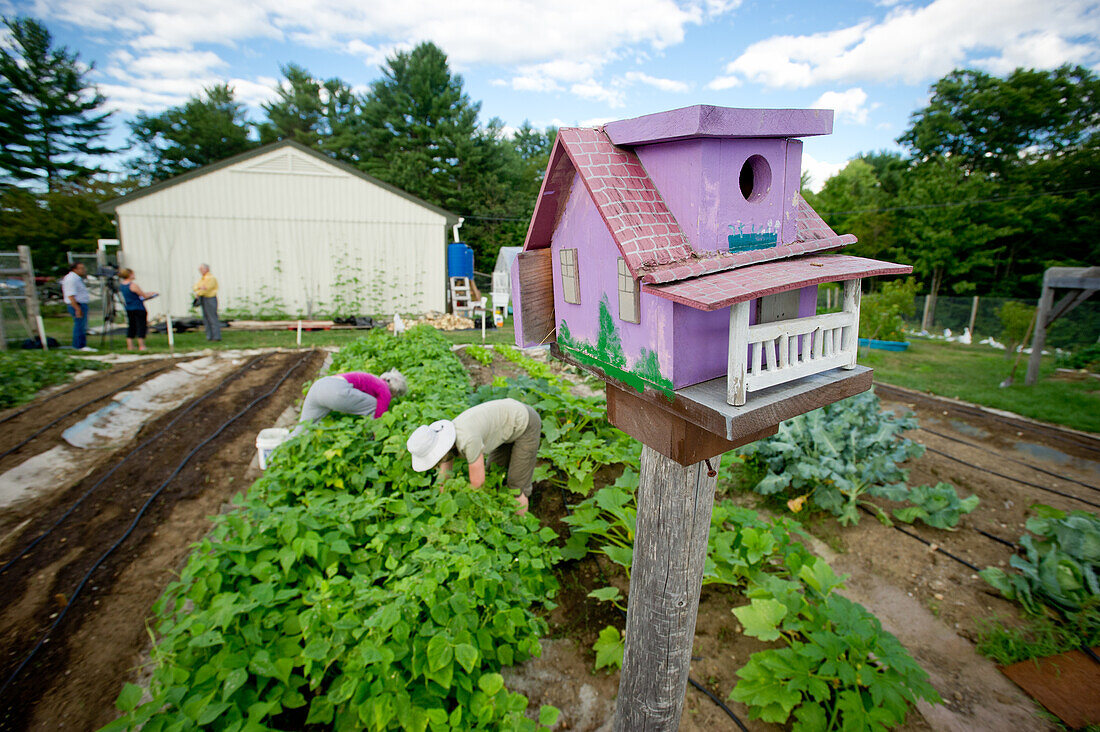 Vogelhaus und Menschen bei der Gartenarbeit in Maine