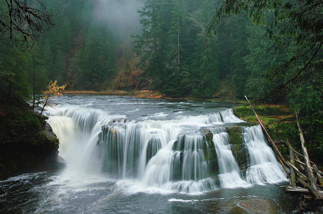 Lower Lewis Falls am Lewis River, Gifford Pinchot National Forest, Cascade Mountains, Washington.