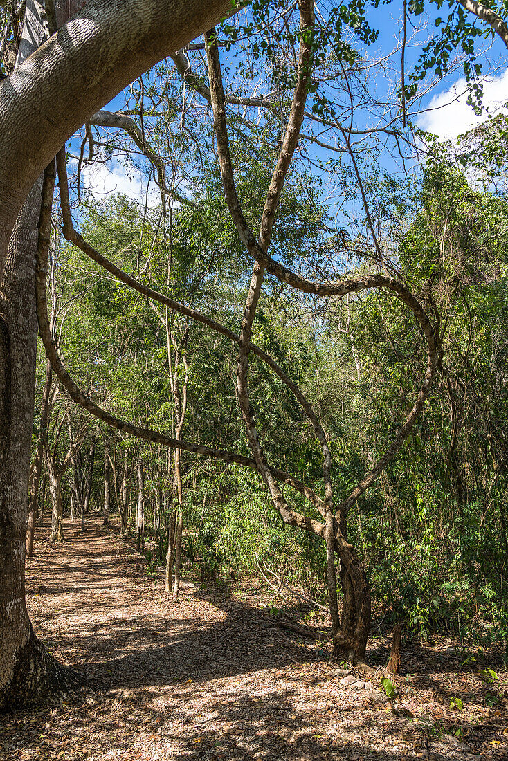 Der Weg zwischen Ruinengruppen der prähispanischen Maya-Stadt Xlapac, Yucatan, Mexiko.