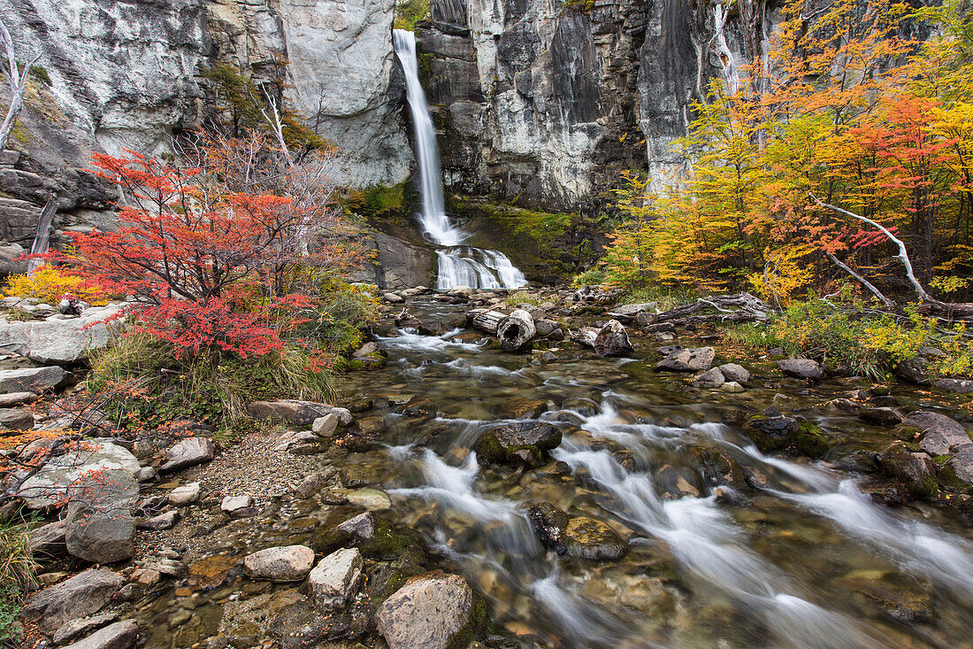 Herbstfärbung am Wasserfall Chorillo del Salto im Nationalpark Los Glaciares bei El Chalten, Argentinien. Eine UNESCO-Welterbestätte in der südamerikanischen Region Patagonien.