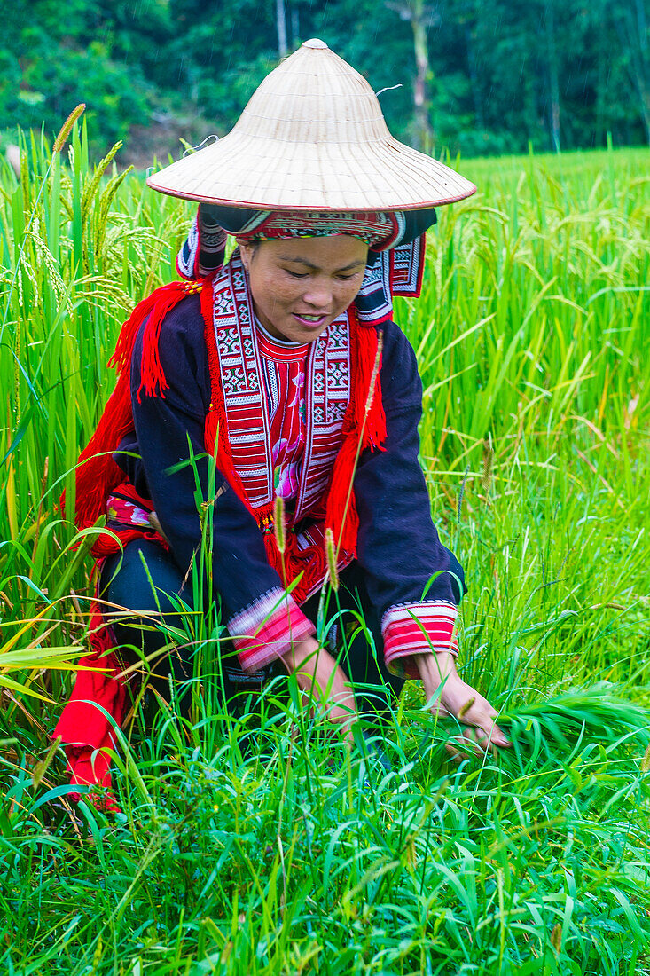 Frau aus der Minderheit der Roten Dao in einem Dorf bei Ha Giang in Vietnam