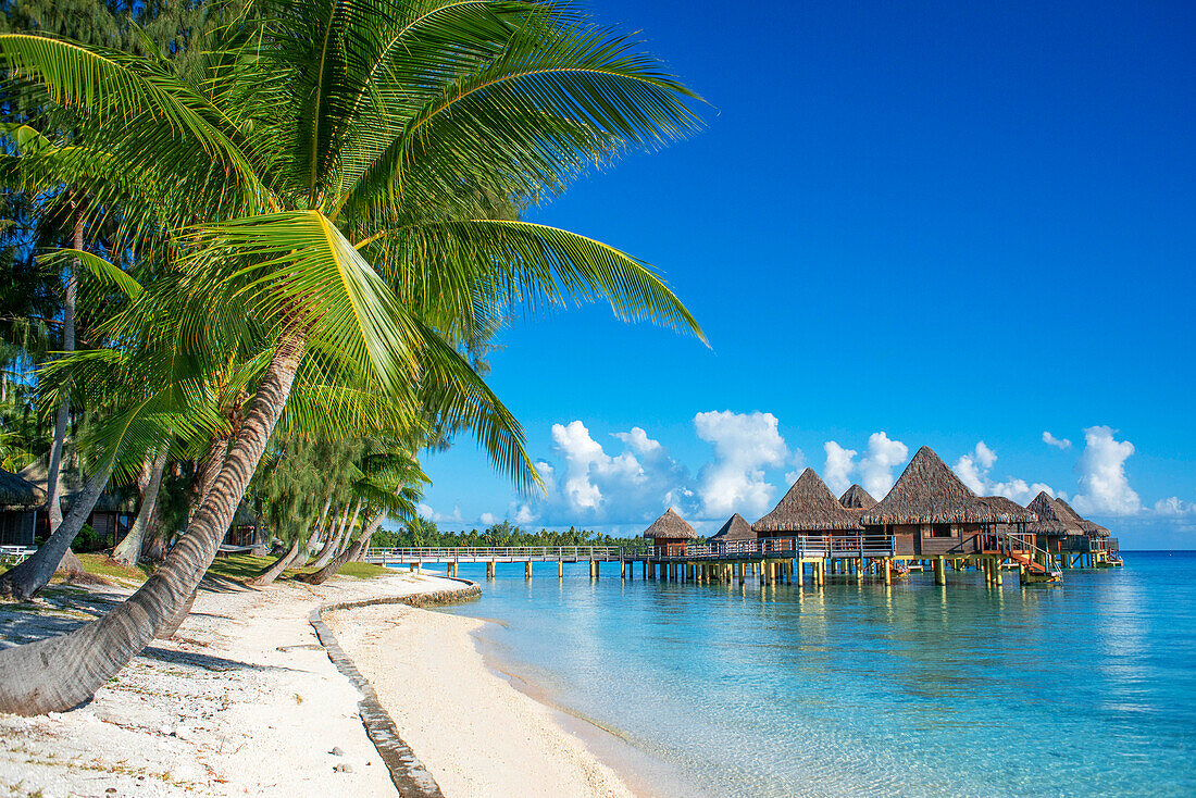 Palmen und Strand des Luxushotels Kia Ora Resort & Spa auf Rangiroa, Tuamotu Inseln, Frankreich