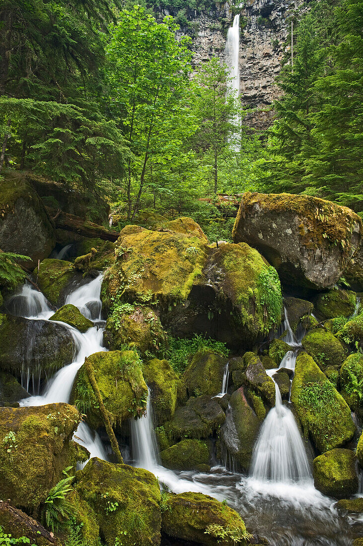 Watson Creek Wasserfälle, Umpqua National Forest, Oregon.