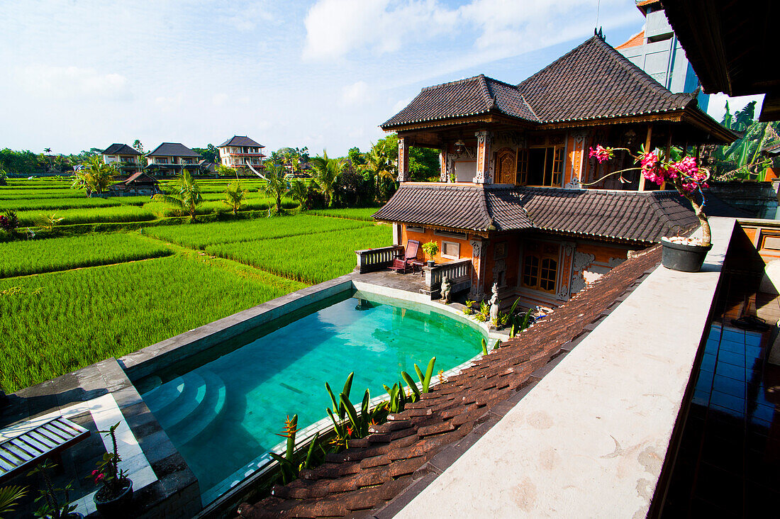 Luxusunterkunft in Ubud, Bali, Indonesien. Es gibt eine Fülle von fantastisch gelegenen, fantastisch günstigen Unterkünften in Ubud, mit atemberaubendem Blick über die Reisfelder, die die Stadt umgeben.