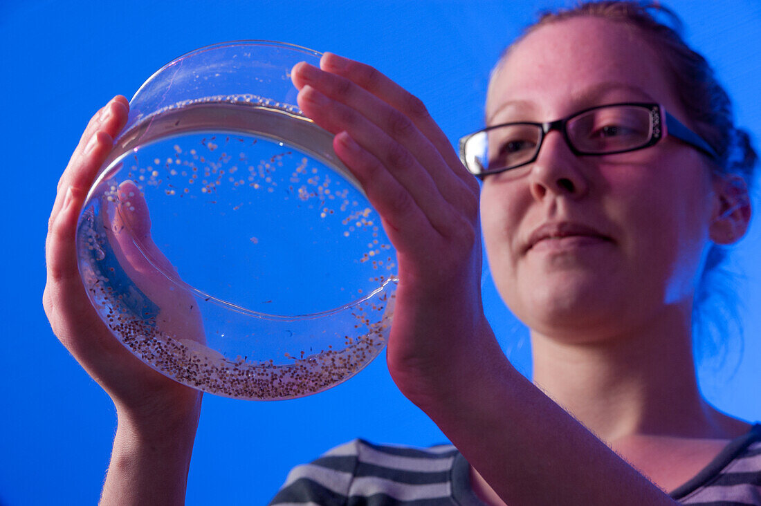 Eine Frau forscht in einem Aquakulturlabor an der Delaware State University