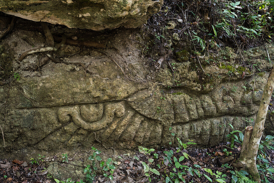 Sehr alte Steinmetzarbeiten in der Nähe der Ruinen der Maya-Stadt Muyil oder Chunyaxche im UNESCO-Biosphärenreservat Sian Ka'an in Quintana Roo, Mexiko.