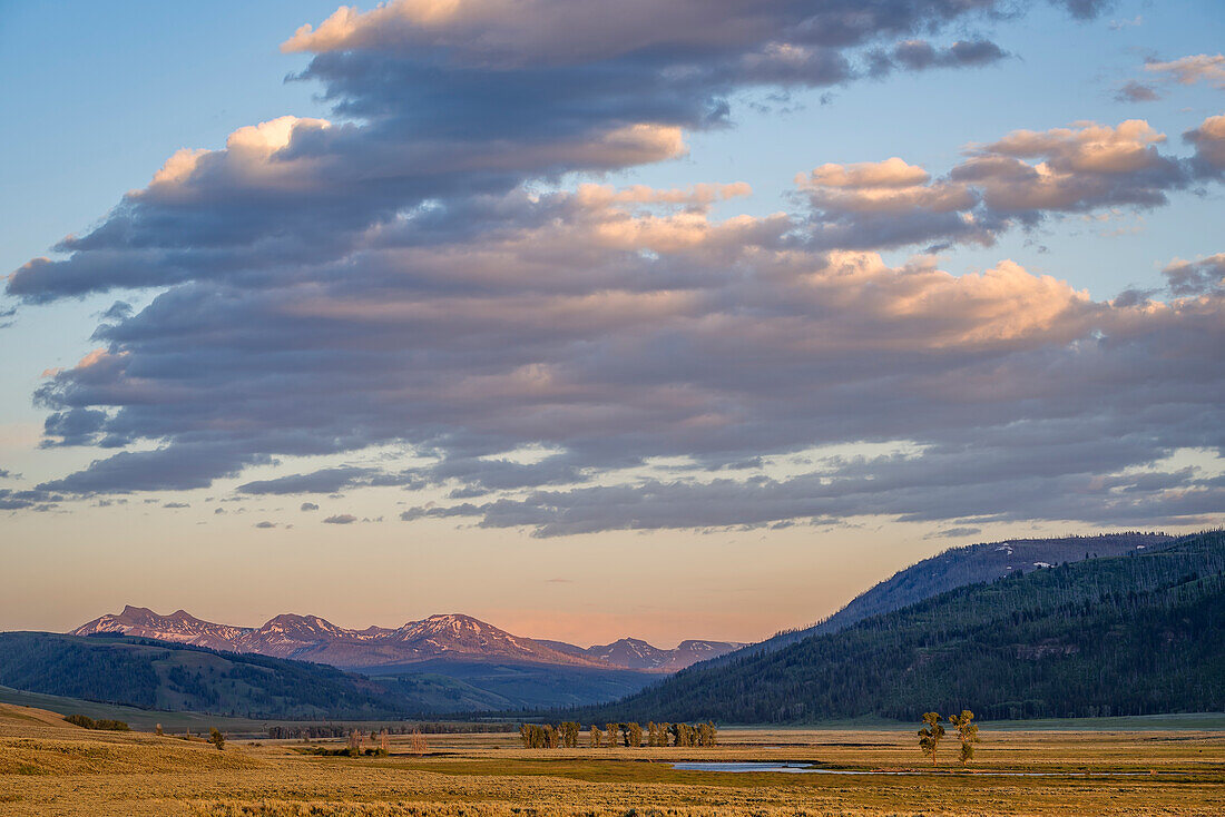Lamar Valley und die Absaroka Mountains, Yellowstone National Park, Wyoming.