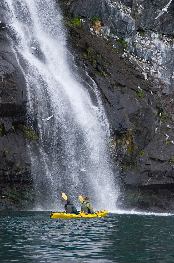 Kajakfahren im Prince William Sound mit Alaska Sea Kayaking; Whittier, Alaska.