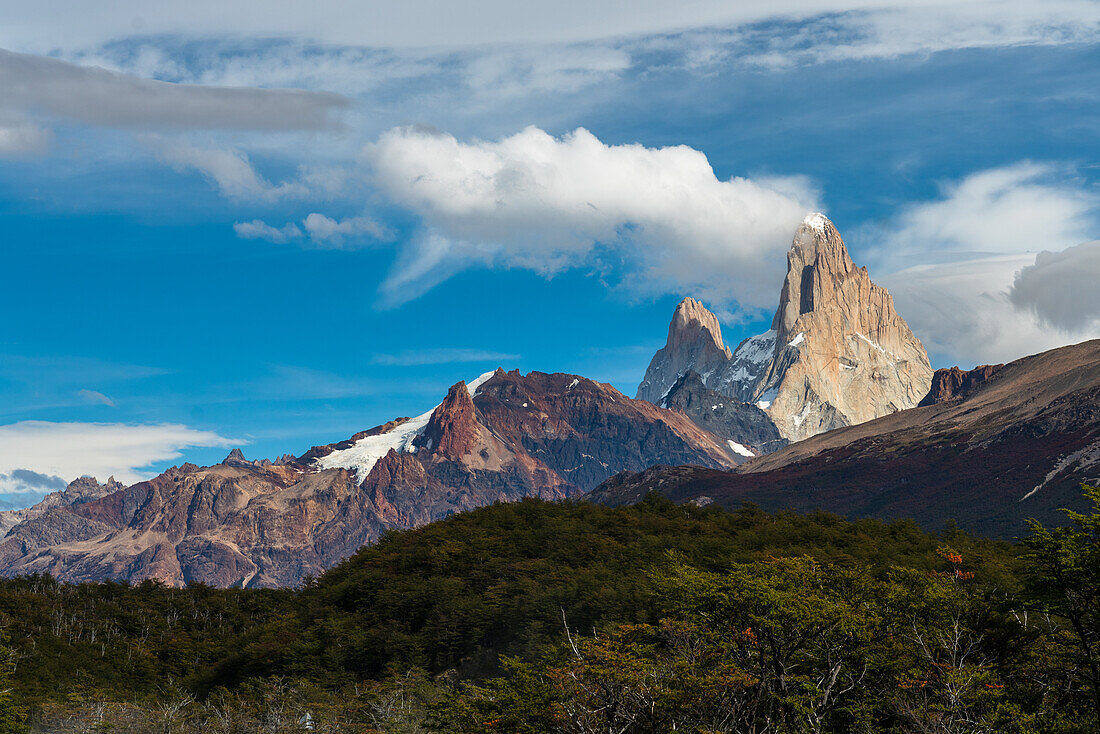 Berg Fitz Roy, Cerro Poincenot und Cerro Electrico (links) im Nationalpark Los Glaciares, von nördlich von El Chalten, Argentinien, in der Region Patagonien in Südamerika aus gesehen. Eine UNESCO-Welterbestätte. Im Vordergrund ist ein Lenga- oder Südbuchenwald zu sehen.