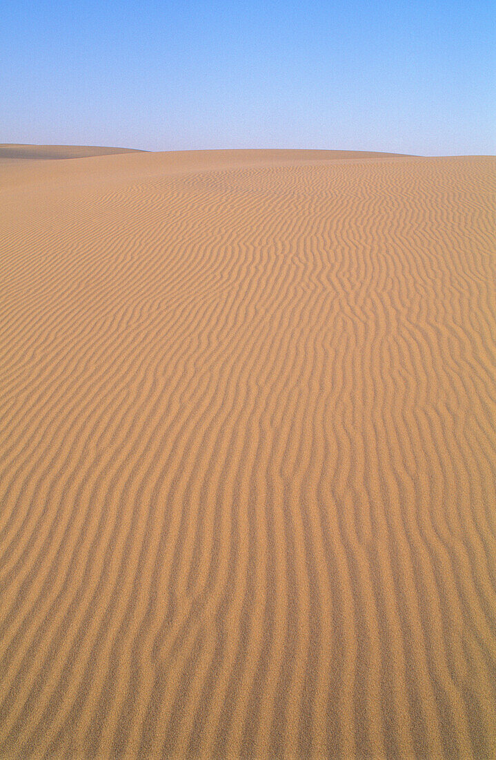 Ripples in sand at Umpqua Dunes; Oregon Dunes National Recreation Area, Oregon coast. .