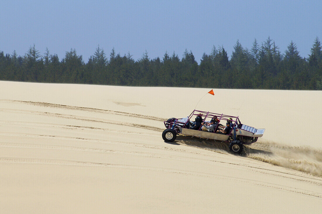 Dune buggy ride with Sandland Adventures at Oregon Dunes National Recreation Area on the Oregon Coast.