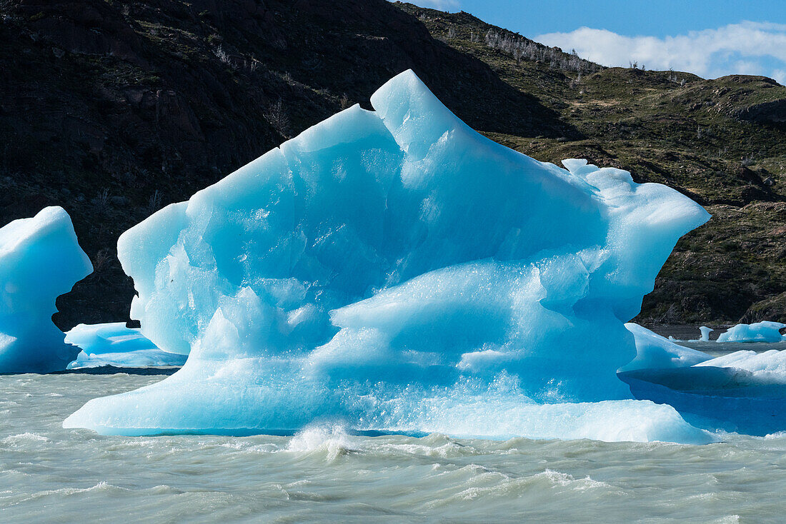 Treibendes Eis des Grey-Gletschers im Lago Grey im Torres del Paine-Nationalpark, einem UNESCO-Biosphärenreservat in Chile in der Region Patagonien in Südamerika. Als Eisberge werden Brocken mit einem Durchmesser von mehr als 5 Metern bezeichnet, während kleinere Brocken als "Growler" bezeichnet werden. Kleine Eisbrocken werden als "Bergy bits" bezeichnet.