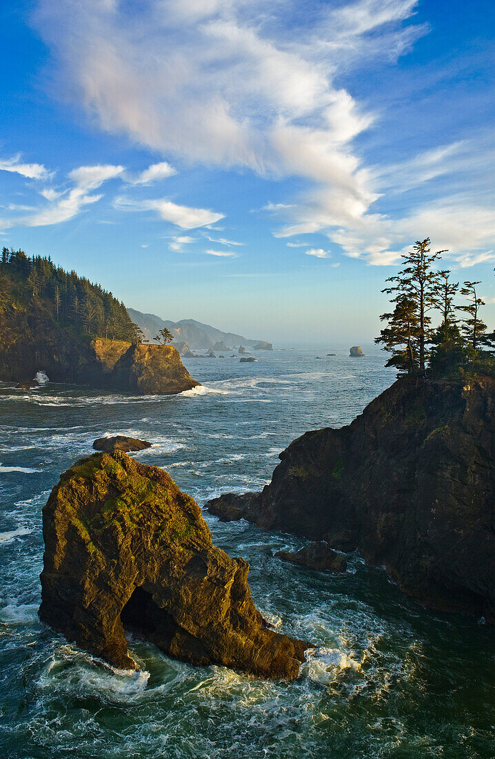 Oregon coast south of Natural Bridges Viewpoint, Samuel H. Boardman State Park.