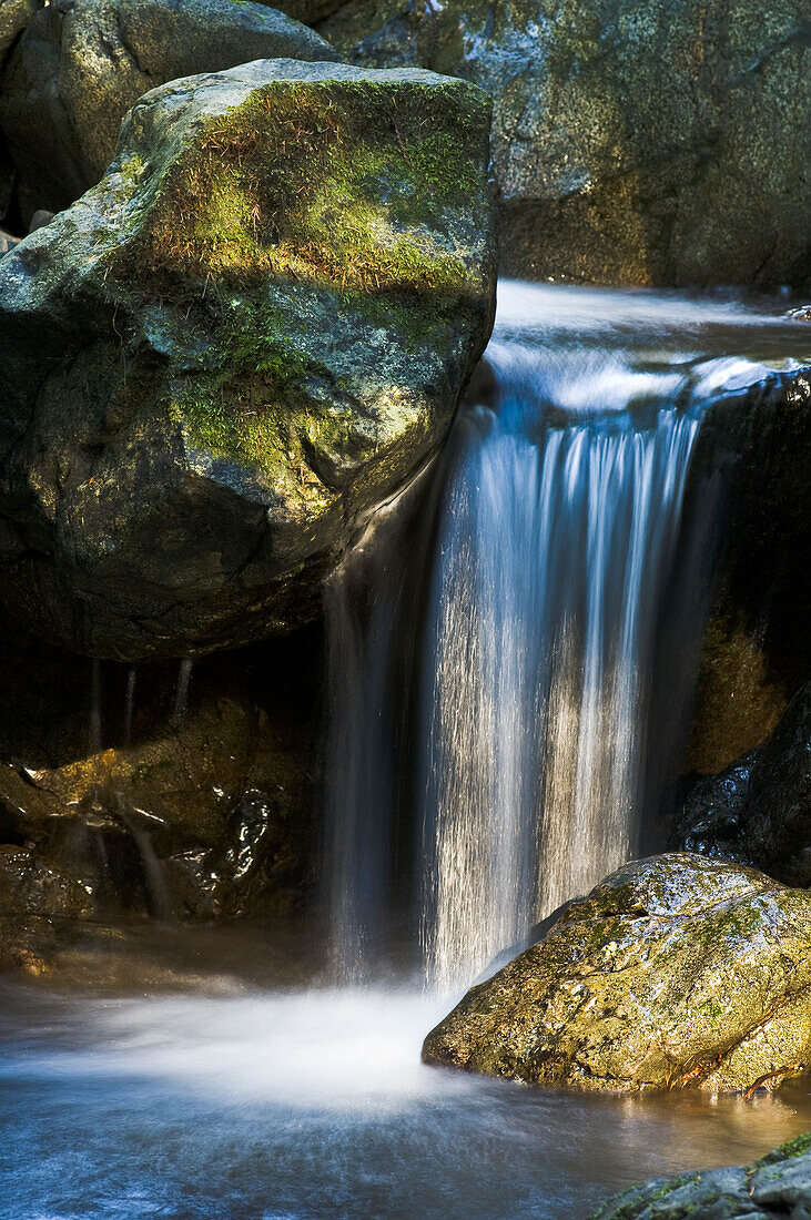 Wasserfall am Bach entlang des Redwood Nature Trail, Siskiyou National Forest, Oregon.